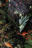 Menagerie of Extinct Animals Bed Pillows by Moooi