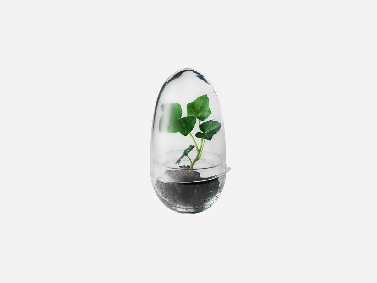 Grow Mini Greenhouse by Design House Stockholm