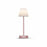 Lola Slim 30 Lamp by Newgarden