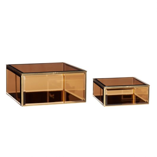 Tint Glass Boxes (Set of 2) by Hübsch