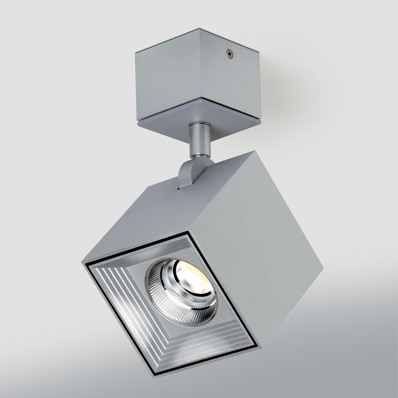 Dau Spot Ceiling/Wall Lamp (6064) by ZANEEN design