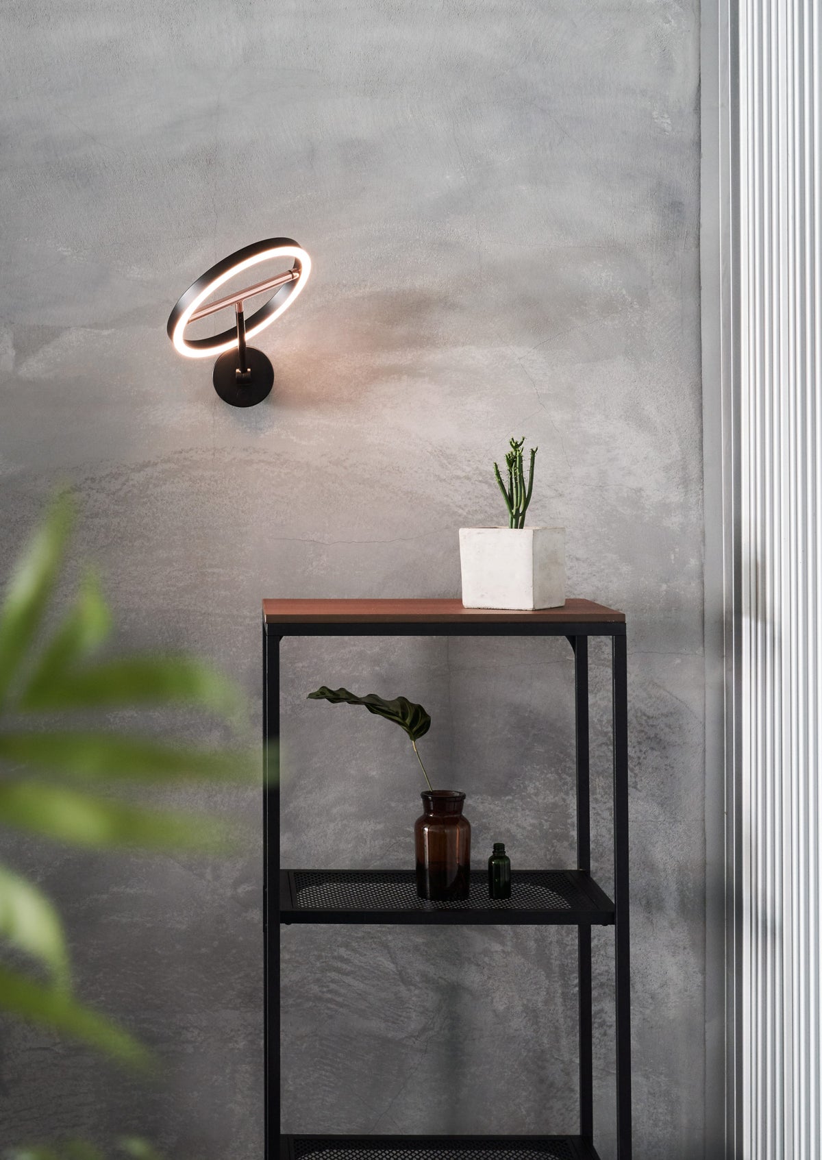 SOL Wall Sconce by Seed Design