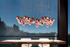 Random Cluster Suspension Lamp by LODES