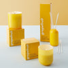 Three-Wick Grapefruit Pop Candle by Jonathan Adler