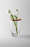 Focus Vase by Design House Stockholm