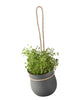 Grow-It Herb Pot by Rig-Tig