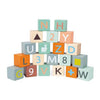 Cart with ABC Blocks by Janod