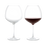 Premium Red Wine Glass by Rosendahl