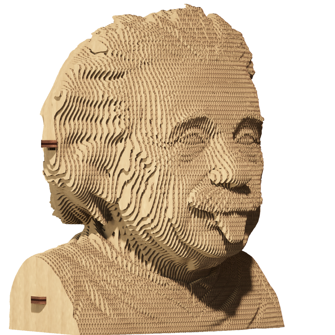 ALBERT EINSTEIN 3D Puzzle by Cartonic