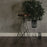 Shoreline Bar Stool by Camino X MASSIMO