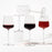 Essence Red Wine Glass 45cl by Iittala