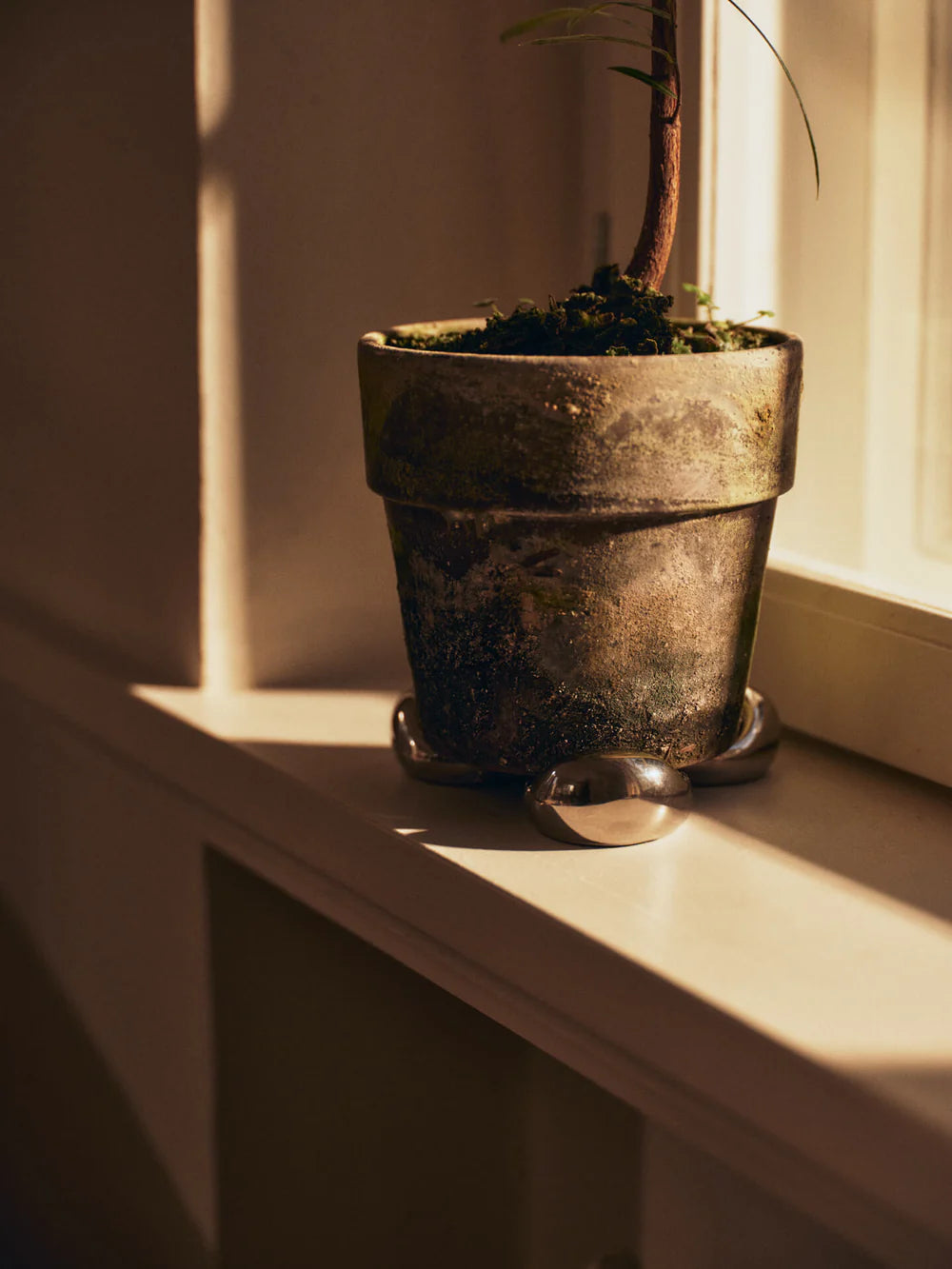 Nube Planter Feet - Set of 4 by Ferm Living