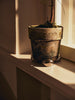 Nube Planter Feet - Set of 4 by Ferm Living