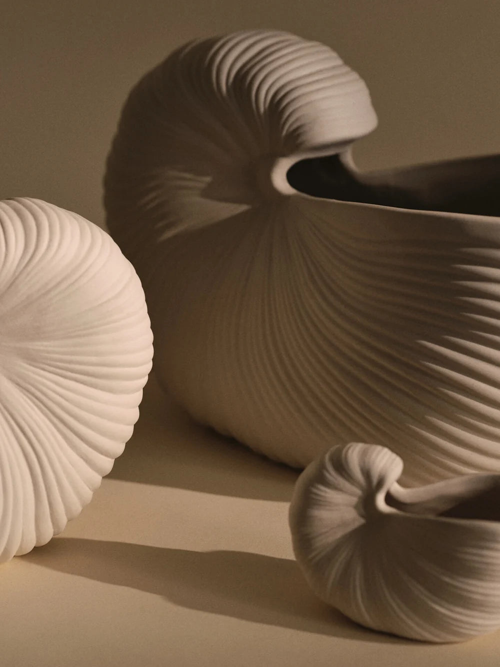 Ferm Living Shell Pot accessory with a modern shell design, made of ceramic, showcasing a smooth, glossy surface.