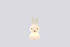 Kids' Miffy Bundle of Light by Mr. Maria, a playful and colorful children's lamp featuring the iconic bunny character.