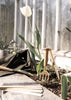 Nurture Hand fork, shovel, and Planting stick by Skultuna