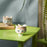 Titania Tealight Holder, Pink, H: 2.6" by Bjørn Wiinblad