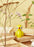 Youthful Yellow by Spring Copenhagen