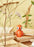 Optimistic Orange by Spring Copenhagen