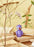 Playful Purple by Spring Copenhagen