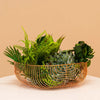 Basket by Bend