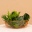 Basket by Bend
