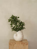 Shell Vase by Ferm Living