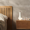 Tomoshi Portable Lamp by Louis Poulsen