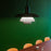 PH 5/5 Pendant by Louis Poulsen