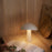 Rumee 220 Portable Lamp by Louis Poulsen