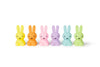 Miffy Colourful Surprise Bundle of Light by Mr. Maria