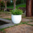 Azalea Planter by Newgarden