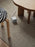 Avolt Square 1 extension cord in white, showing the compact design and standard electrical outlet for accessories.