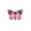 Bellissima Butterfly by Studio Roof