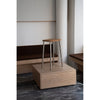 Bird Bar Stool - Stainless Steel / Oak by Raawii