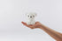 Kids' Boris Bundle of Light by Mr. Maria featuring a colorful, soft plush toy designed for children.