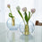 Medium Bubble Glass Vase by Block Design