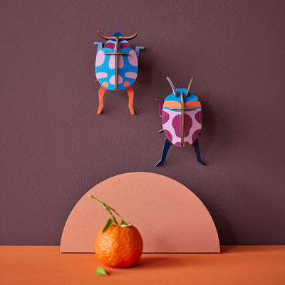 Coccinelle Couple by Studio Roof