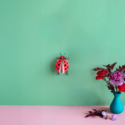Coccinelle Rouge by Studio Roof