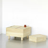 Crate Series by Established and Sons