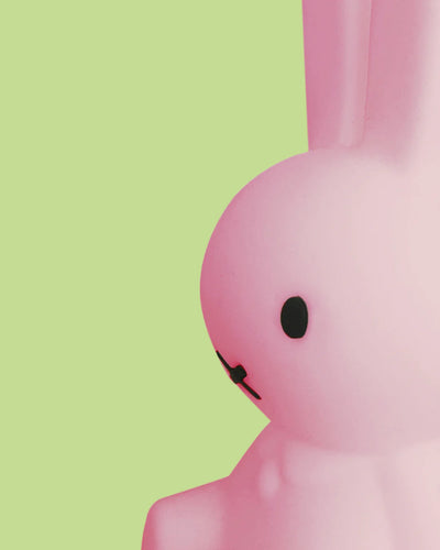 Miffy Colourful Surprise Bundle of Light by Mr. Maria