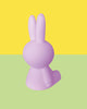 Miffy Colourful Surprise Bundle of Light by Mr. Maria