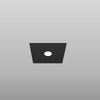 Shell Surface/Ceiling Light by ZANEEN Design