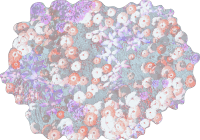Rosetta Large from Digital Garden by Moooi Carpets