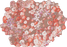 Rosetta Large from Digital Garden by Moooi Carpets