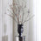 Dora Maar Urn - Black by Jonathan Adler