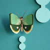 Fern Striped Butterfly by Studio Roof