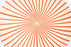 Filigrana Light, Wall / Ceiling by Established and Sons