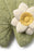 Water Lily Floor Cushion by Lorena Canals