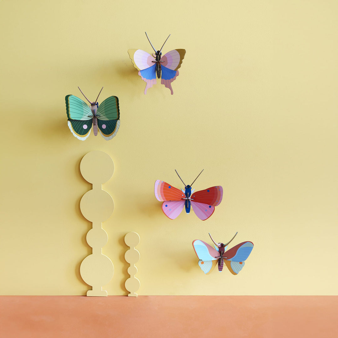 Gold Rim Butterfly by Studio Roof